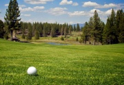 Lake Tahoe Golfing