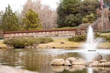 Lake of the Pines