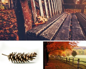 Selling your home fall photo